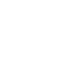 Netball